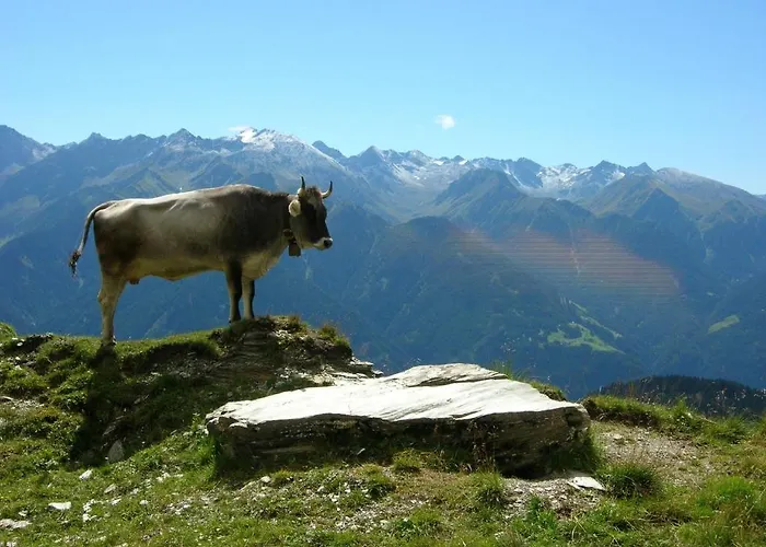 An Der Via Claudia Augusta شقة فس