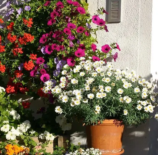 An Der Via Claudia Augusta * Fiss